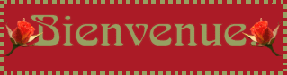 bienvenue roses rouges